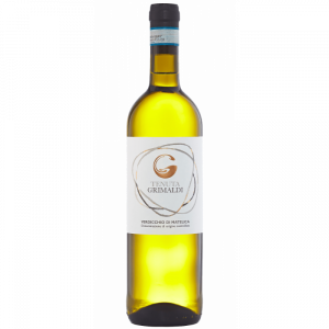 VERDICCHIO DI MATELICA DOC